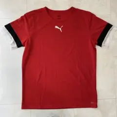 Item thumbnail for item 5bfa6045-da7f-4cdc-bf0c-42e125c61e8b