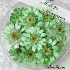 S.and.K様 リクエスト 3点 まとめ商品