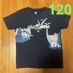 ユニクロUT 恐竜柄　半袖Ｔ　120