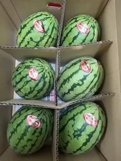 産地直送！小玉スイカ姫山笠6玉入！甘くて美味しい箱込8.5キロ前後のサムネイル