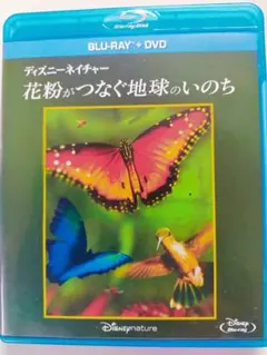 Item thumbnail for item 80880a85-c915-450e-abad-0e115ab4e85d