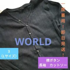 【１度着用！】●●WORLD●●襟ボタン　 長袖　カットソー●黒・03