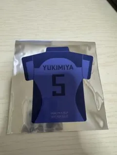 ブルーロック展 入場者特典 雪宮