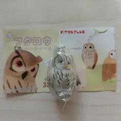 フクロウ マーカーチャーム ガチャ　ウラルアウル