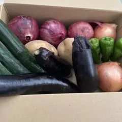 新鮮野菜詰め合わせセットのサムネイル
