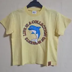 BREEZE イエロー イルカ Tシャツ 110