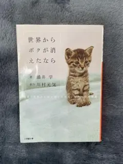 世界からボクが消えたなら