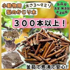 Item thumbnail for item 44fbe66a-b0c0-446e-893c-c9a460ecafe8