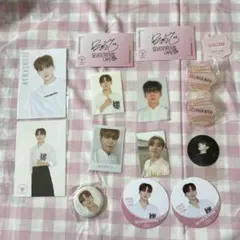 SEVENTEEN スングァン まとめ売り 缶バッジ トレカ ポストカード