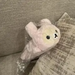 コリラックマいっぱいシリーズ　korilakkumaぬいぐるみペンポーチ