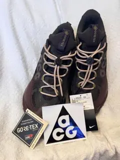 NIKE ACG MOUNTAIN FLY 2 LOW GTX 26.5cmのサムネイル