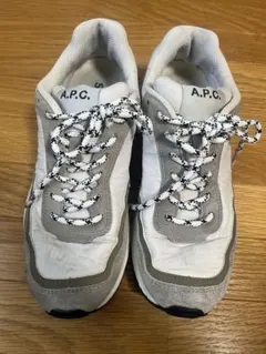 Item thumbnail for item 1408d588-686f-430e-937e-f4ccaab5c8fc