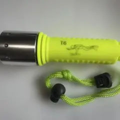 OLIGHT LED懐中電灯 青 黄ストラップ - メルカリ