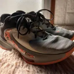 ナイキ　フリーク4バスケットボールシューズ