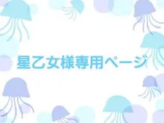 星乙女様専用ページ