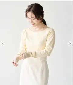 【新品未着用】 aimeine シアーニットスリーブバックオープントップス