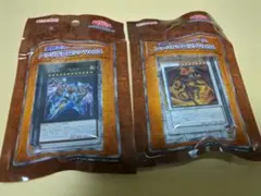 遊戯王カードゲーム アクリルブロック 2種セット