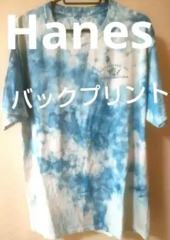 Hanes　バックプリントMOUNT JOY タイダイ Tシャツ