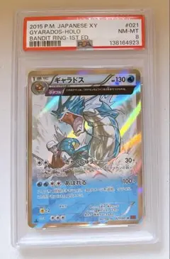19) PSA10 ギャラドス v SR 070/067 19) PSA10 ギャラドス v SR 070/067 - メルカリ