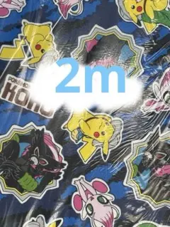 ちぃママ 様専用　SALE ポケットモンスター　生地幅×100㎝2点
