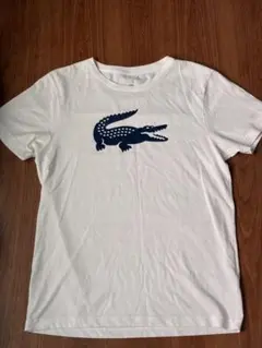 ラコステ　LACOSTE Tシャツ ホワイト