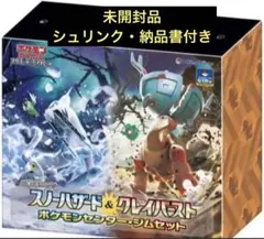 シュリンク付 ポケカ ジム セット ナンジャモ スノーハザード&クレイバースト