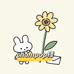 champop様 リクエスト 3点 まとめ商品