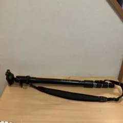 Item thumbnail for item 32f44251-4907-41eb-a0b5-d6df5a5fae7d