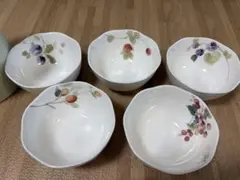 ルーシーガーデン プチボウル(アソート) 11cm 5点セット