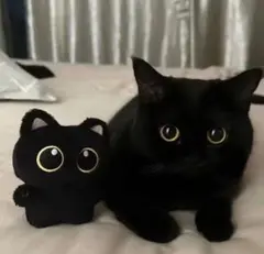 Item thumbnail for item 3cf50bfd-cd70-4ce4-9a43-953141681ab7