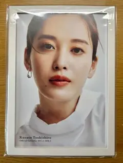 Item thumbnail for item 487acb1a-c861-4d9d-9ff8-97496285978d