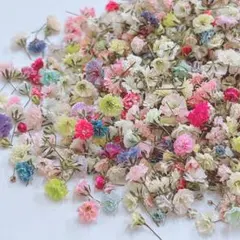 にこにこ☆様 リクエスト 2点 まとめ商品