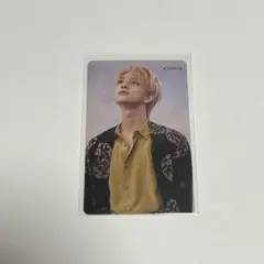 ジョシュア トレカ  舞い落ちる花びら  HMV