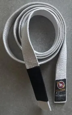 Item thumbnail for item 2641194d-14e3-4b9e-b200-e7ccc6d09218