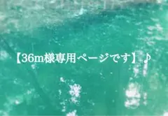 【36m様専用ページ】です♪のサムネイル