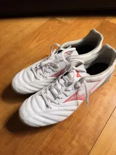 Mizuno ミズノ モナルシーダ25.0 cm 4E スーパーワイド - メルカリ