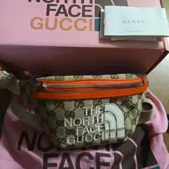2026年最新】north face gucci バッグの人気アイテム - メルカリ