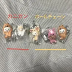 SKZOO ガチャガチャ 5個セット（カニカンとボールチェーン混在）