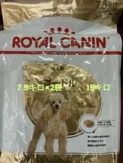 Item thumbnail for item f00e831c-0449-4713-a3a5-793a9adc85d9