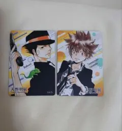 家庭教師ヒットマンREBORN! 天野明展 マグネットステッカー　沢田綱吉