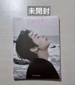 Stray Kids DO IT accordion リノ 未開封