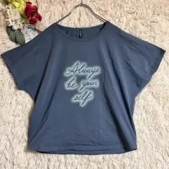 【ダンスキン】XL 半袖カットソー ロゴ 青 ジム ヨガ スポーツ トレーニングのサムネイル