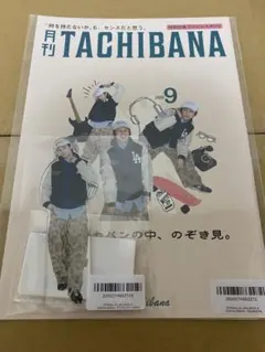 立花裕大 アクスタ