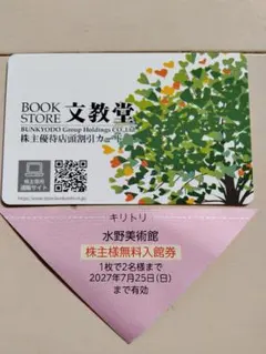 水野美術館 無料入館券 文教堂 株主優待店頭割引カード セット