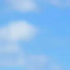 ing様専用ページ