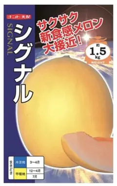 やす様 リクエスト 2点 まとめ商品