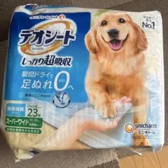 Item thumbnail for item 2814ae14-9abd-4585-9780-bd88fee9029c