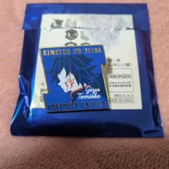 鬼滅の刃 無限城 キャラクターモチーフピンズ 冨岡義勇 ピンバッジ