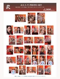 龍宮城 ほえろ!!! PHOTO SET 全31種 コンプリート - メルカリ