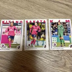topps Jリーグ セレッソ大阪 高橋仁胡 25、50シリ - メルカリ